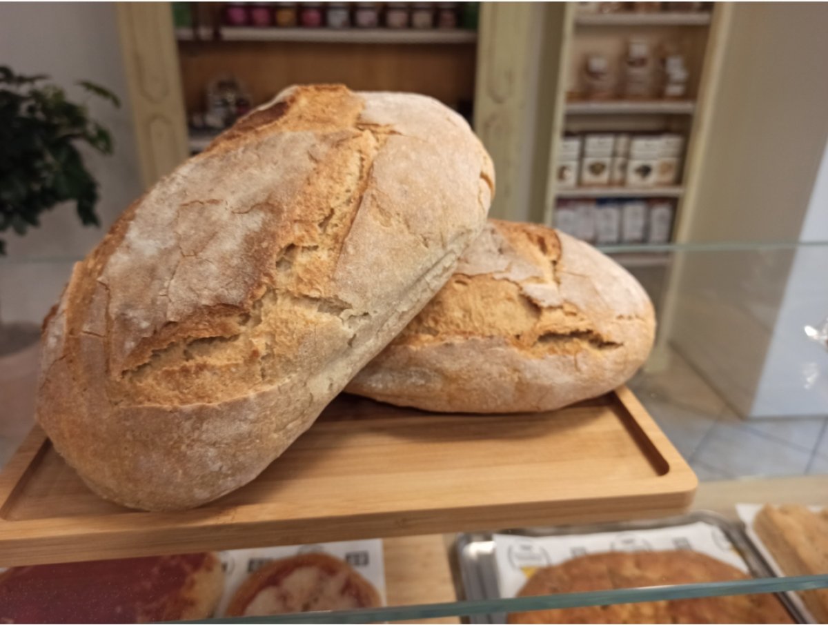 Pane di farro spelta bio con lievito madre Filone di pane al farro spelta con lievitazione naturale