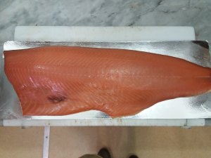 salmone scozzese affumicato