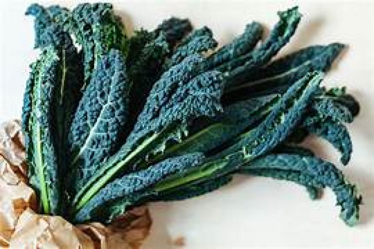 Cavolo Nero 