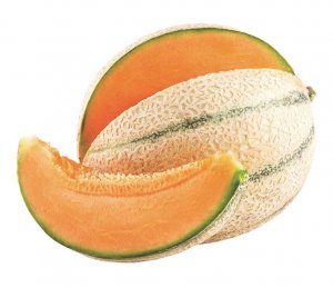 Melone Tamaris