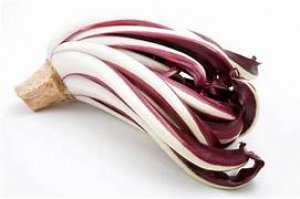 Radicchio Trevisano