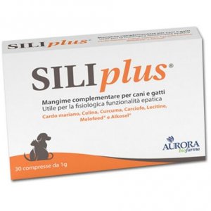 SILIPLUS 30CPR 1g (Aurora Biofarma)