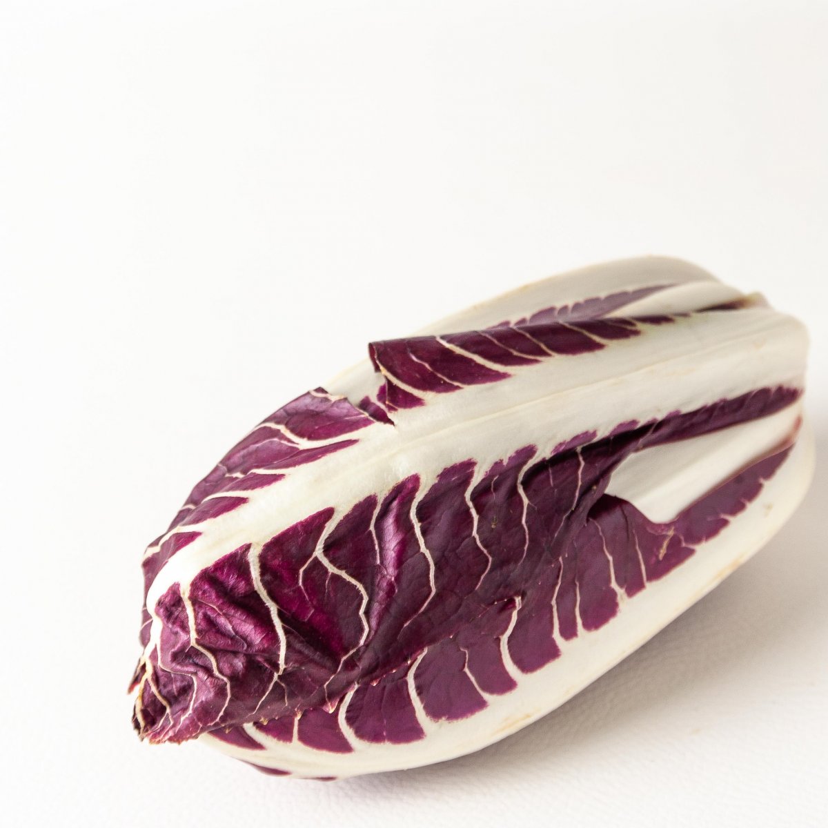 Radicchio trevigiano